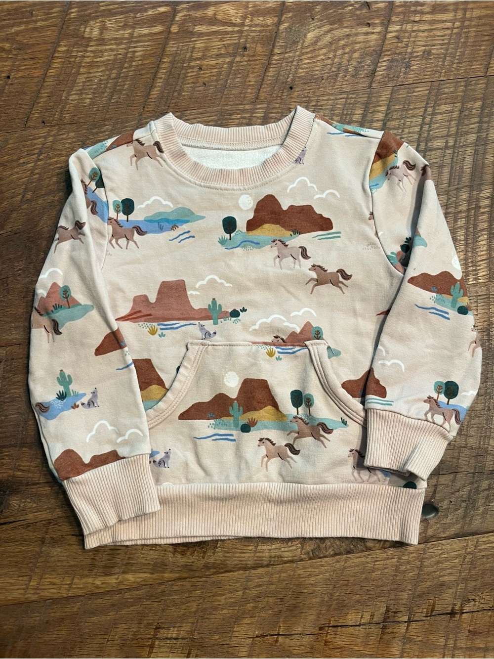 Little Sleepies Desert Horse Print Pullover Sweatshirt